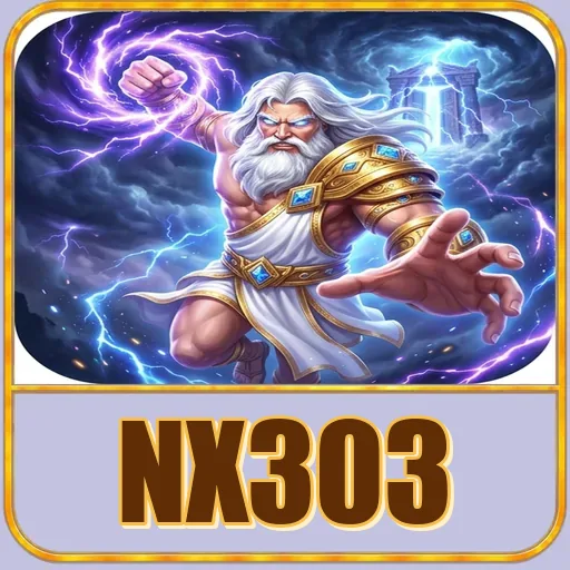 nx303
