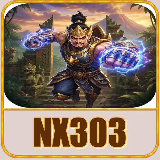 nx303